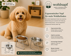 Erhöhter Futternapf aus Edelstahl – kleine Hunde